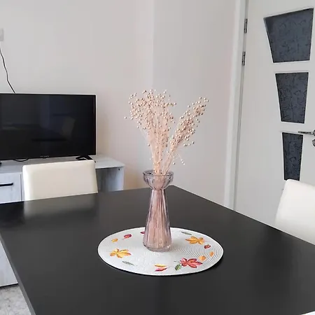 Dani