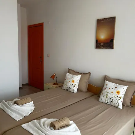 Dani Guest house *